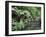 Alfred Nicholas Gardens, Dandenong Ranges National Park, Dandenong Ranges, Victoria, Australia-Jochen Schlenker-Framed Photographic Print