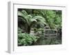 Alfred Nicholas Gardens, Dandenong Ranges National Park, Dandenong Ranges, Victoria, Australia-Jochen Schlenker-Framed Photographic Print