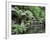 Alfred Nicholas Gardens, Dandenong Ranges National Park, Dandenong Ranges, Victoria, Australia-Jochen Schlenker-Framed Photographic Print