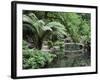 Alfred Nicholas Gardens, Dandenong Ranges National Park, Dandenong Ranges, Victoria, Australia-Jochen Schlenker-Framed Photographic Print