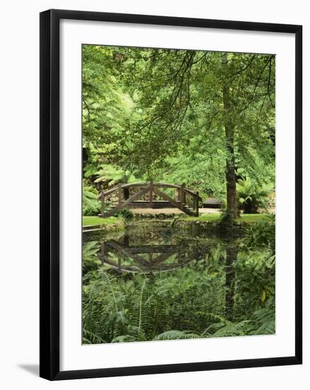 Alfred Nicholas Gardens, Dandenong Ranges National Park, Dandenong Ranges, Victoria, Australia-Jochen Schlenker-Framed Photographic Print