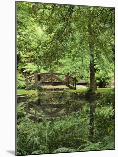 Alfred Nicholas Gardens, Dandenong Ranges National Park, Dandenong Ranges, Victoria, Australia-Jochen Schlenker-Mounted Photographic Print