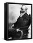 Alfred Nobel, Swedish Chemist and Inventor-Science Source-Framed Stretched Canvas