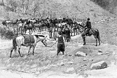 The Banks of the Rio Neuquen, Argentina, 1895-Alfred Paris-Framed Stretched Canvas