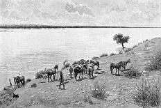The Banks of the Rio Neuquen, Argentina, 1895-Alfred Paris-Stretched Canvas