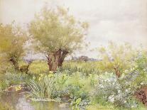 Spring in the Orchard-Alfred Parsons-Framed Stretched Canvas