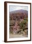 Brown Frame
