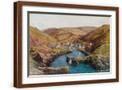 Brown Frame