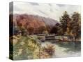 Stretched Canvas