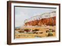 Brown Frame