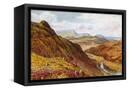 Canvas Black