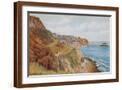 Brown Frame