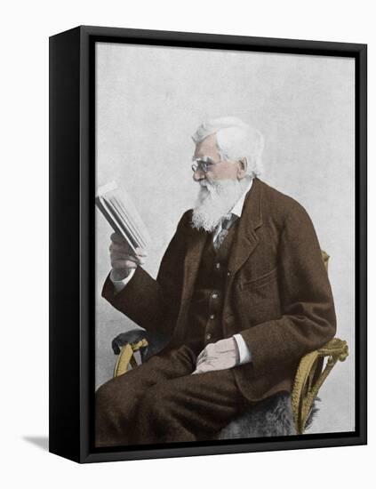 Alfred Russel Wallace, Welsh Naturalist-Science Source-Framed Stretched Canvas