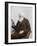 Alfred Russel Wallace, Welsh Naturalist-Science Source-Framed Giclee Print