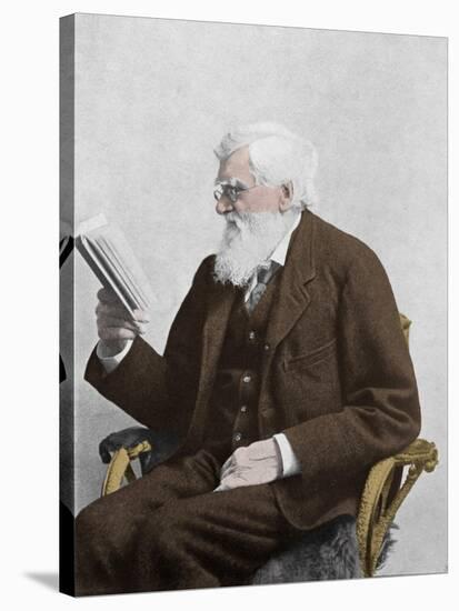 Alfred Russel Wallace, Welsh Naturalist-Science Source-Stretched Canvas