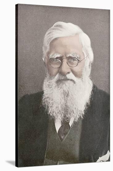 Alfred Russel Wallace, Welsh Naturalist-Science Source-Stretched Canvas