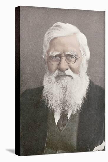 Alfred Russel Wallace, Welsh Naturalist-Science Source-Stretched Canvas