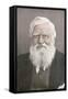 Alfred Russel Wallace, Welsh Naturalist-Science Source-Framed Stretched Canvas