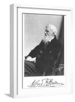 Alfred Russell Wallace, Welsh-Born British Naturalist, C1900-null-Framed Giclee Print