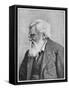 Alfred Russell Wallace, Welsh Naturalist, C1895-null-Framed Stretched Canvas