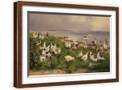 Brown Frame