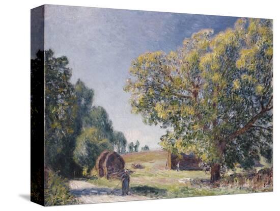Stretched Canvas Print, , large