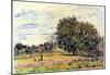 Alfred Sisley A Worker in the Field Art Print Poster-null-Mounted Poster