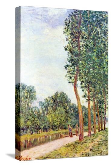 Stretched Canvas Print, , large