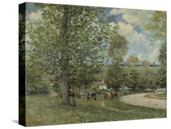 Stretched Canvas Print, , large
