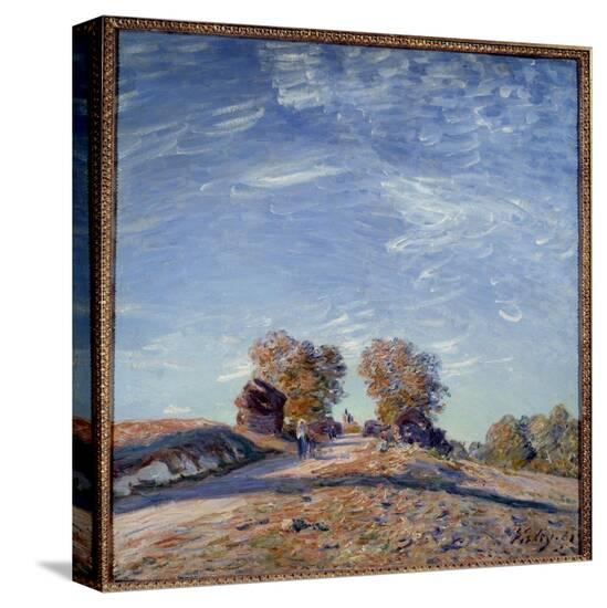 Stretched Canvas Print, , large