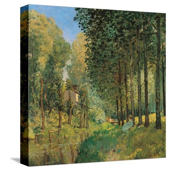 Stretched Canvas Print, , large