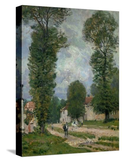 Stretched Canvas Print, , large