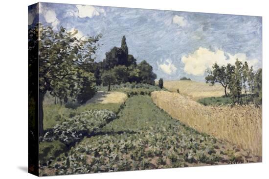 Stretched Canvas Print, , large
