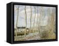 Canvas Black