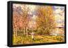 Alfred Sisley The Small Meadows in Spring Art Print Poster-null-Framed Poster