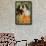 Alfred Sisley-Pierre-Auguste Renoir-Framed Art Print displayed on a wall