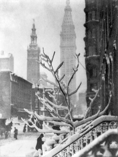 Premium Photographic Print, , large