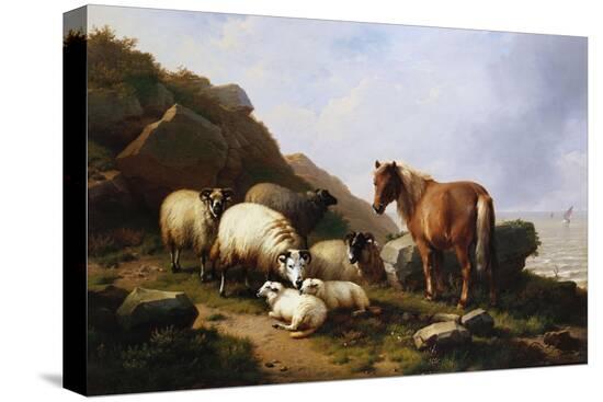 Stretched Canvas Print, , large