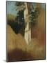 Wood Mount
