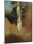 Wood Mount