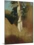 Wood Mount