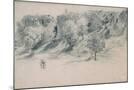 Wood Mount