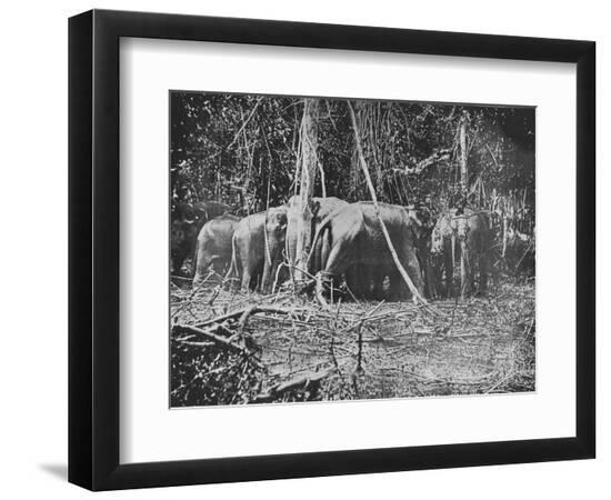 Premium Photographic Print, , large