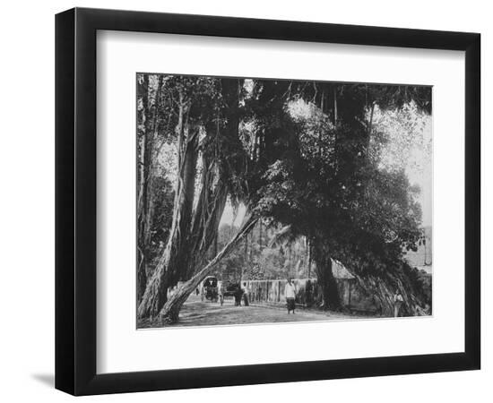 Premium Photographic Print, , large