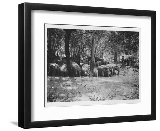 Premium Photographic Print, , large