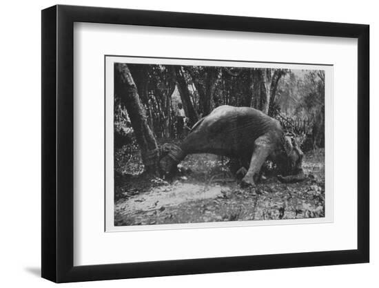 Photographic Print, , large