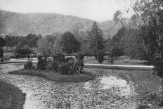 'Kandy. Sacred Elephants of the Temple Bathing', c1890, (1910)-Alfred William Amandus Plate-Photographic Print