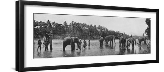Premium Photographic Print, , large