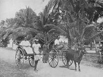 'Lace Makers. - Ceylon Lace is entirely hand made', c1890, (1910)-Alfred William Amandus Plate-Photographic Print