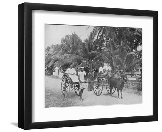 Premium Photographic Print, , large